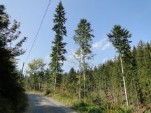 Beskids, dsc01408.jpg