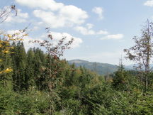 Beskids, dsc01438.jpg