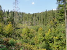 Beskids, dsc01446.jpg