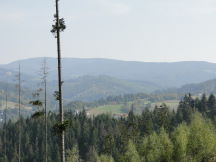 Beskids, dsc01455.jpg