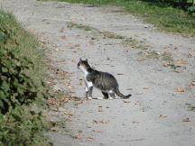 Beskids, dsc01513.jpg