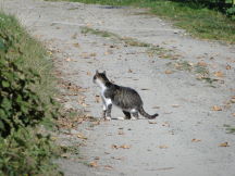 Beskids, dsc01513.jpg