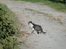 Beskids, dsc01514.jpg