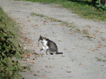 Beskids, dsc01515.jpg