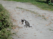 Beskids, dsc01517.jpg