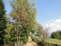 Beskids, dsc01531.jpg