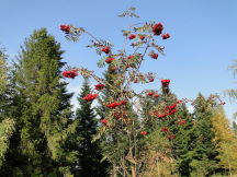 Beskids, dsc01535.jpg