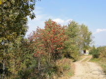 Beskids, dsc01539.jpg