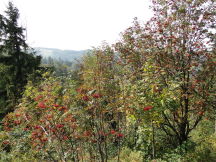 Beskids, dsc01543.jpg