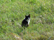 Beskids, dsc01550.jpg