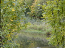 Beskids, dsc01638.jpg