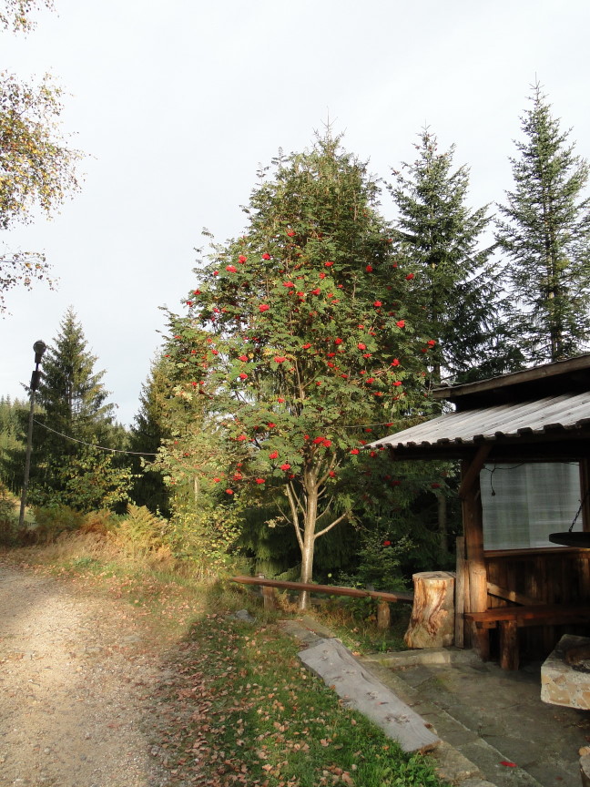 Beskids