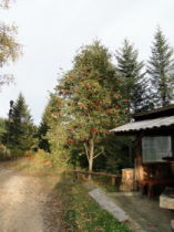 Beskids, dsc02051.jpg