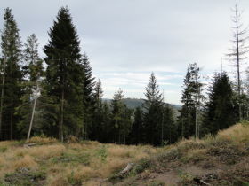 Beskids, dsc02086.jpg