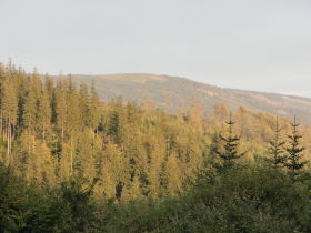 Beskids, dsc02243.jpg