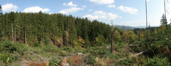 Beskids, dsc01424.jpg